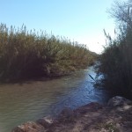 Parque Fluvial del Turia completo
