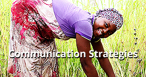 Communication Strategies